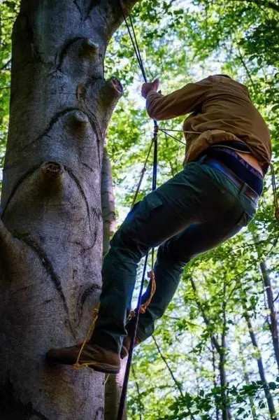 Seilquerung an einem Baumstamm mit Kletterausrüstung und Seil